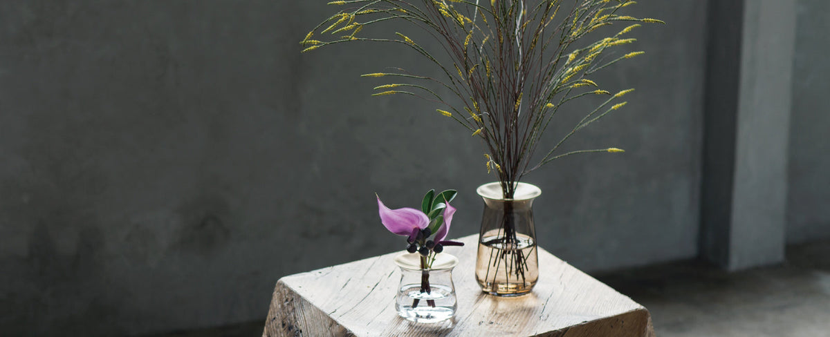 Accent with Plants - Vol. 2