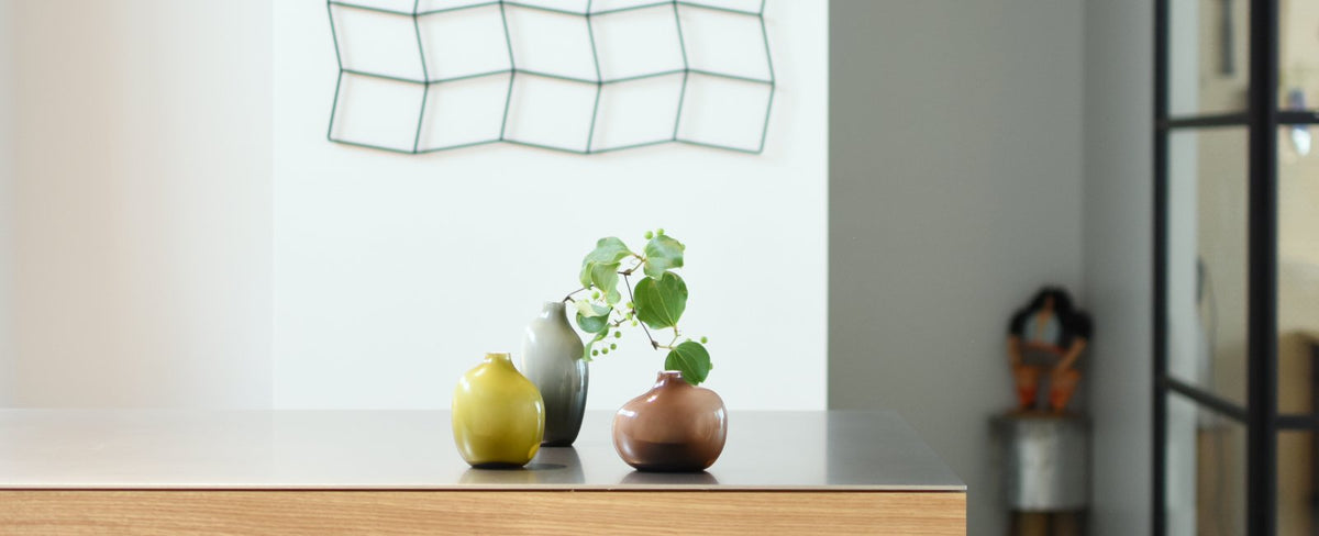 Enjoy Plants in Your Own Style | Interview with Fumie Shibata