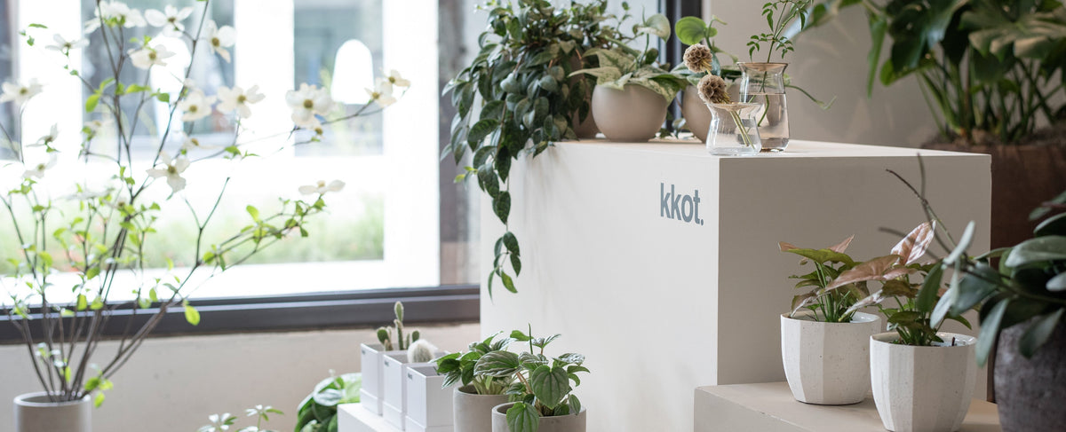 kkot.