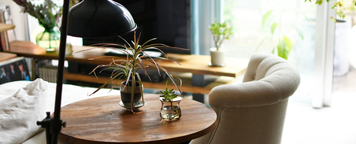 Enjoy Plants in Your Own Style | Interview with Hiroshi Aihara
