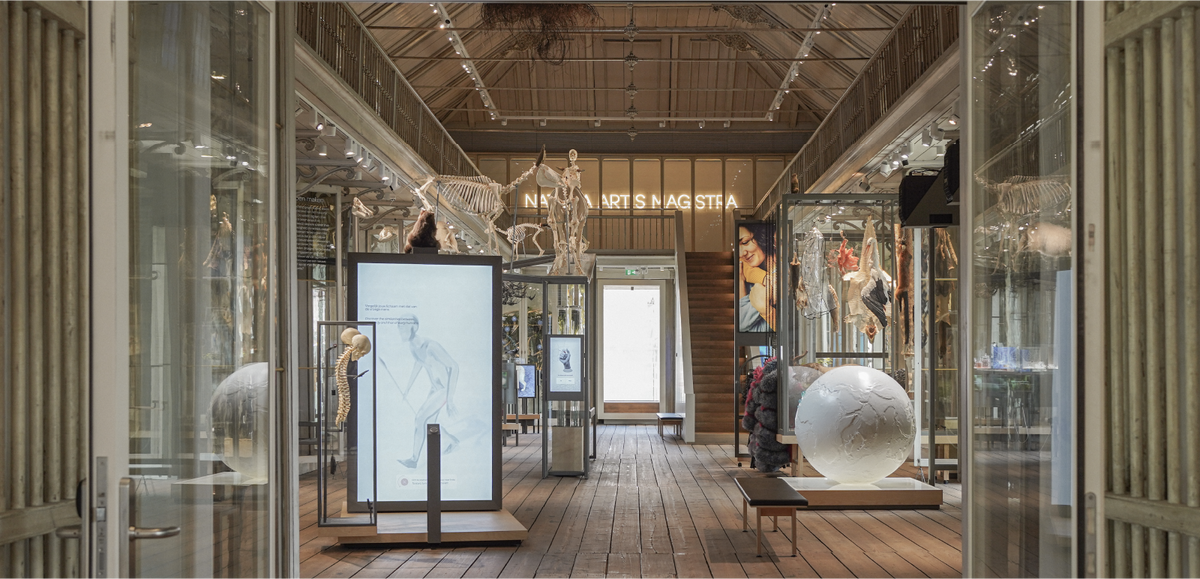 ARTIS-Groote Museum