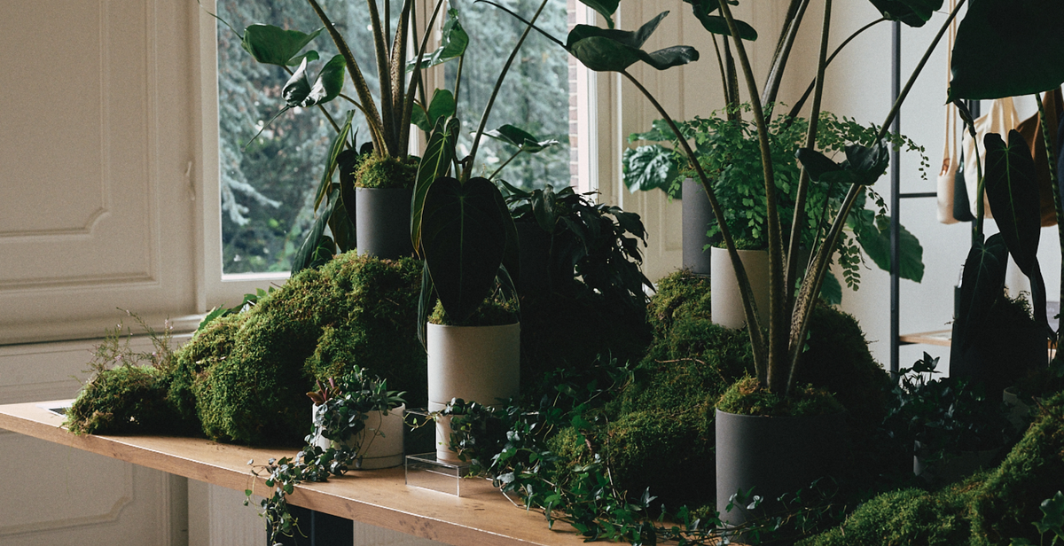 AW25 Exhibition in Amsterdam