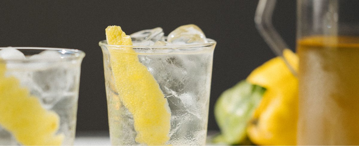 Elderflower Soda Recipe by Fusillo Lab