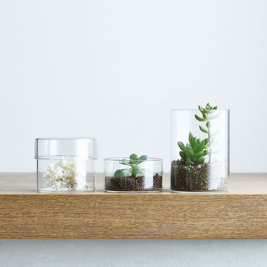 Kinto SCHALE glass case 100x55mm clear 4