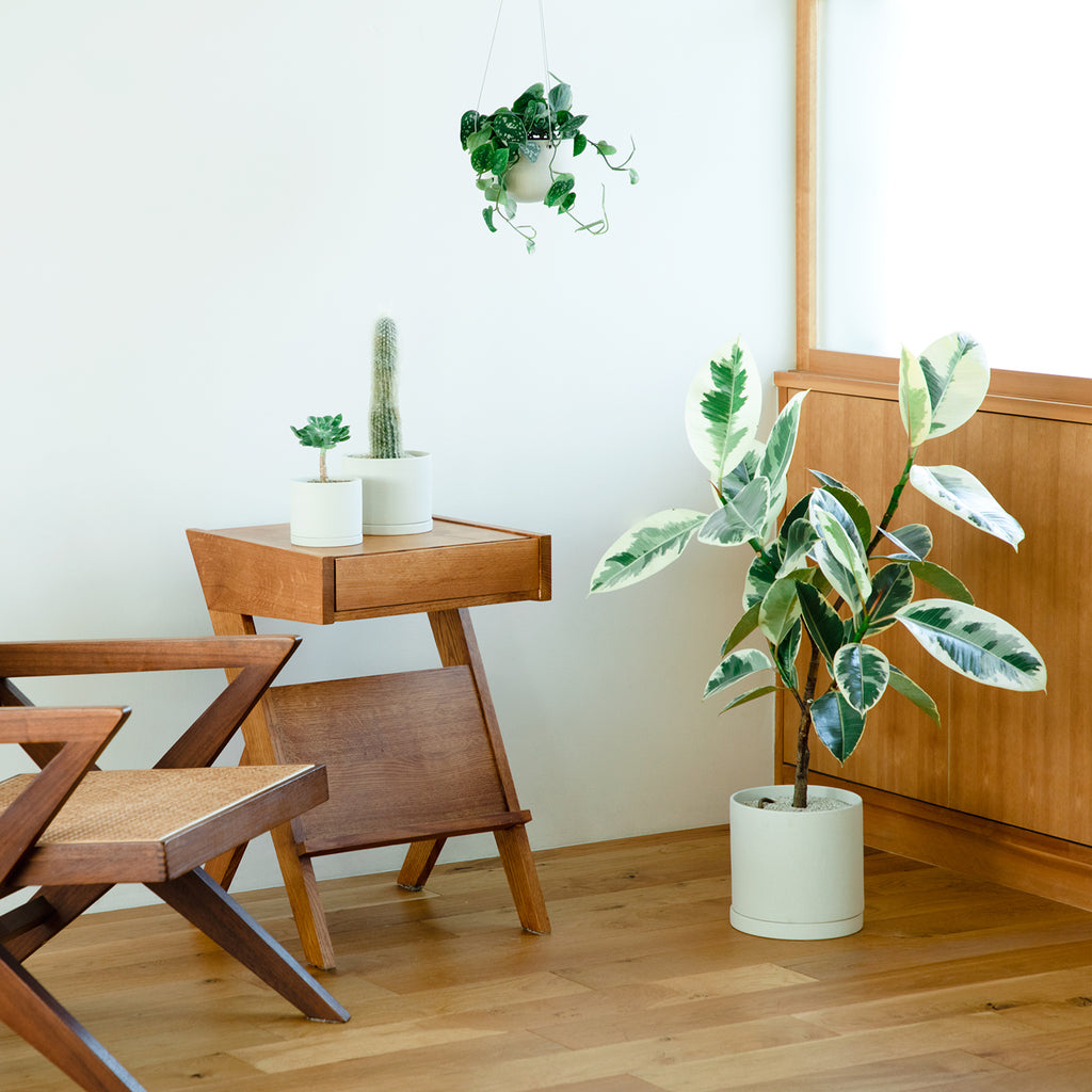 Kinto PLANT POT 191_ 200x195mm dark gray 3